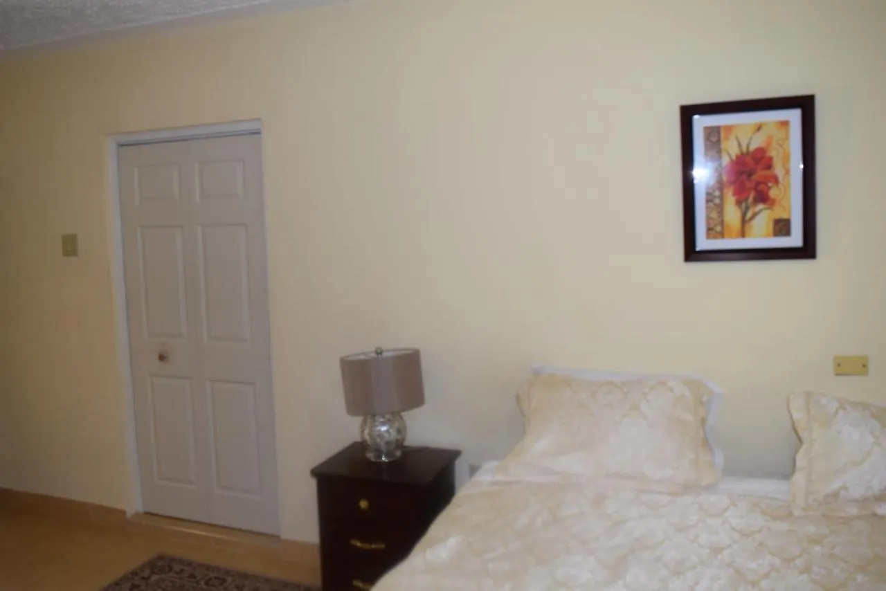 The One Apartments #Studio 3 Kingston Jamaica