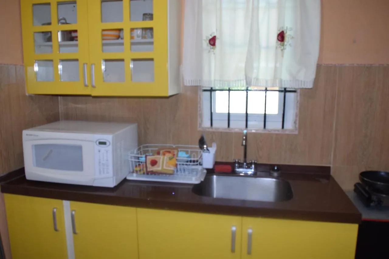 The One Apartments #Studio 3 Kingston 0*,  Jamaica